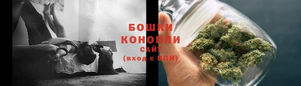 прущий лед Козловка