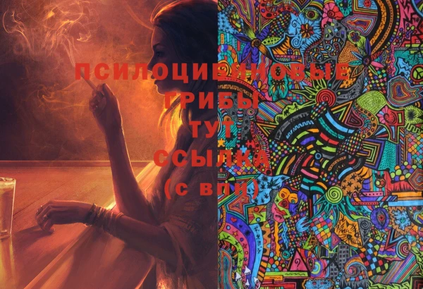 Альфа ПВП Кодинск