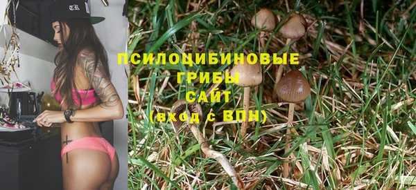 прущий лед Козловка