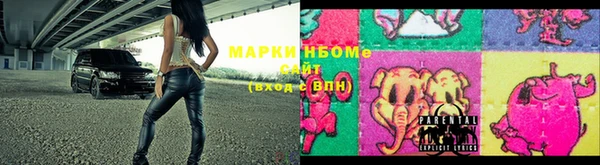 стафф Козельск