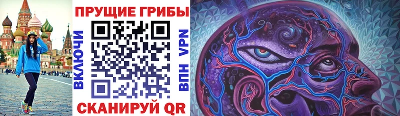 Купить где  Родники  Псилоцибиновые грибы ЛСД 